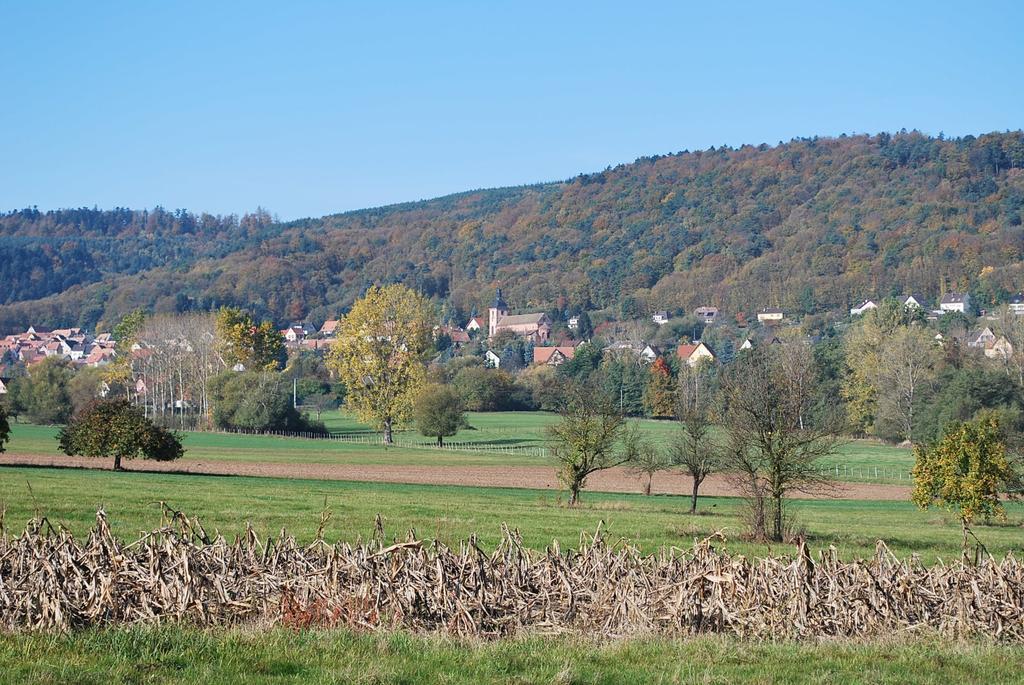Chambres D'Hotes Les Vignes Saint-Jean-Saverne Экстерьер фото