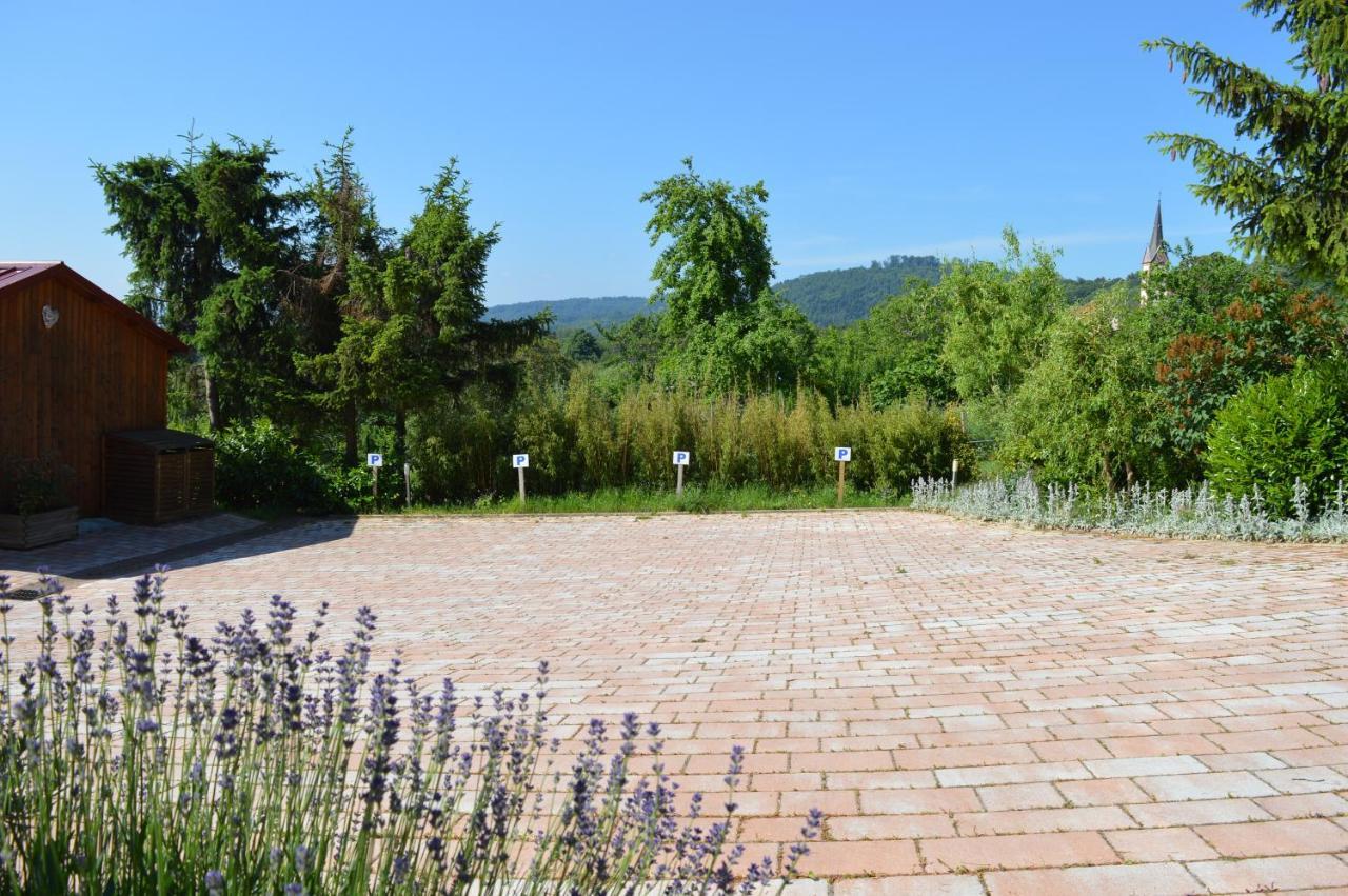 Chambres D'Hotes Les Vignes Saint-Jean-Saverne Экстерьер фото