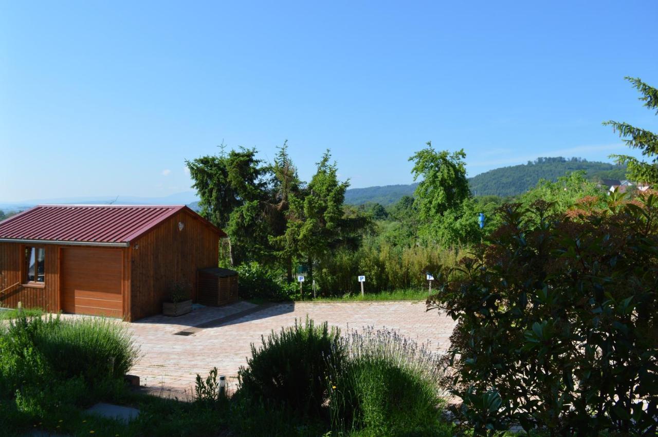 Chambres D'Hotes Les Vignes Saint-Jean-Saverne Экстерьер фото